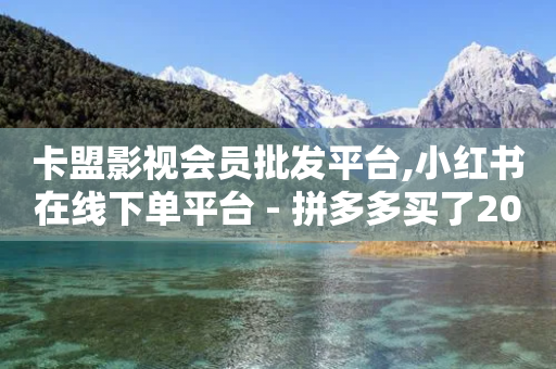 卡盟影视会员批发平台,小红书在线下单平台 - 拼多多买了200刀全被吞了 - 拼多多下单模拟器