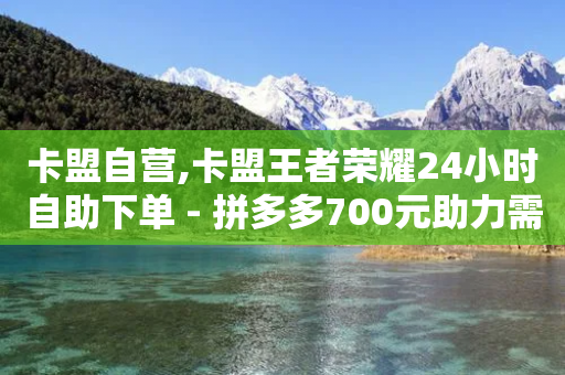 卡盟自营,卡盟王者荣耀24小时自助下单 - 拼多多700元助力需要多少人 - 拼多多免费自动刷刀