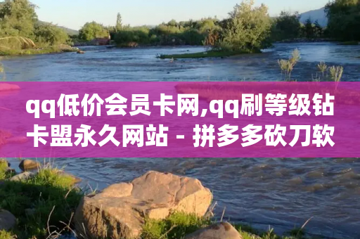 qq低价会员卡网,qq刷等级钻卡盟永久网站 - 拼多多砍刀软件代砍平台 - 点拼多多助力被盗钱是真的吗