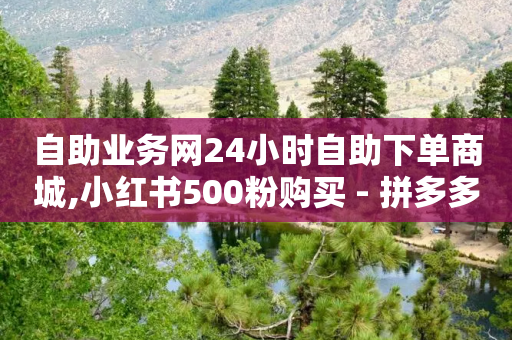 自助业务网24小时自助下单商城,小红书500粉购买 - 拼多多业务关注下单平台 - 拼多多助力24小时自助平台