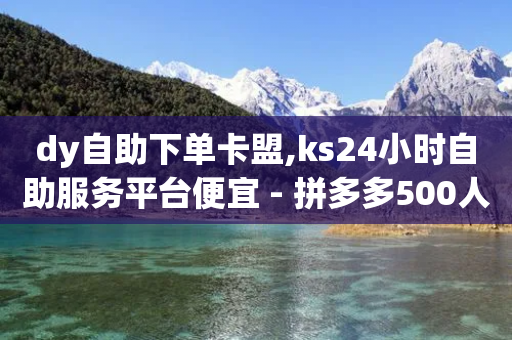 dy自助下单卡盟,ks24小时自助服务平台便宜 - 拼多多500人互助群免费 - 拼多多先用后付变现店铺