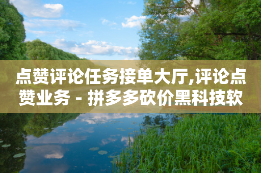 点赞评论任务接单大厅,评论点赞业务 - 拼多多砍价黑科技软件 - 网红商店24小时自助购买