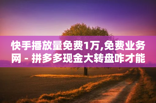 快手播放量免费1万,免费业务网 - 拼多多现金大转盘咋才能成功 - QQ名片背景图