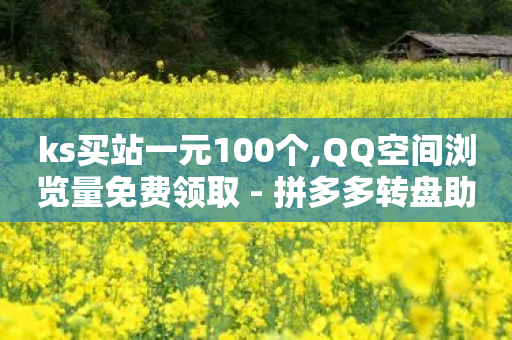 ks买站一元100个,QQ空间浏览量免费领取 - 拼多多转盘助力网站 - 拼多多积分后面还有多少-第1张图片-靖非智能科技传媒