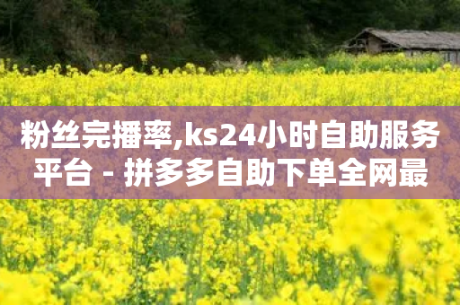 粉丝完播率,ks24小时自助服务平台 - 拼多多自助下单全网最便宜 - 君泽货源站自助下单-第1张图片-靖非智能科技传媒