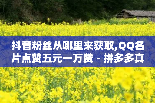 抖音粉丝从哪里来获取,QQ名片点赞五元一万赞 - 拼多多真人助力平台免费 - 网红业务平台24小时服务-第1张图片-靖非智能科技传媒