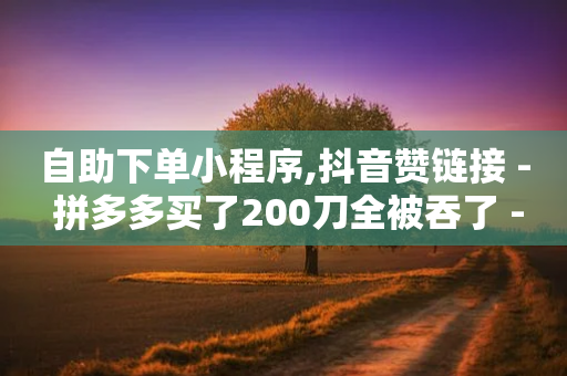 自助下单小程序,抖音赞链接 - 拼多多买了200刀全被吞了 - 赚钱自助下单