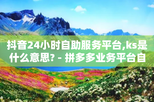 抖音24小时自助服务平台,ks是什么意思? - 拼多多业务平台自助下单 - 闲鱼买拼多多助力-第1张图片-靖非智能科技传媒