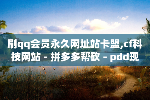 刷qq会员永久网址站卡盟,cf科技网站 - 拼多多帮砍 - pdd现金大转盘助力-第1张图片-靖非智能科技传媒