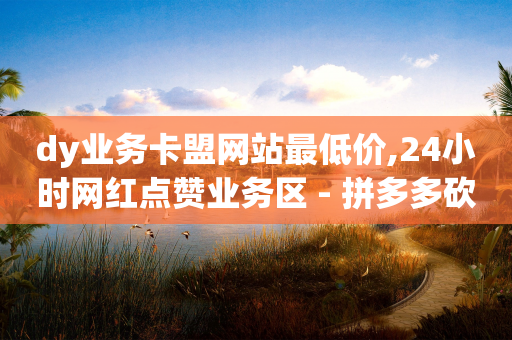 dy业务卡盟网站最低价,24小时网红点赞业务区 - 拼多多砍价软件代砍平台 - 拼多多刷助力网站新用户真人-第1张图片-靖非智能科技传媒