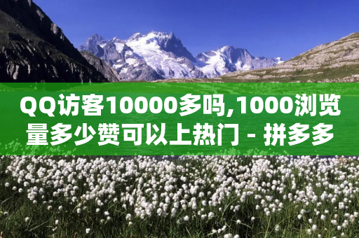 QQ访客10000多吗,1000浏览量多少赞可以上热门 - 拼多多助力600元要多少人 - 拼多多官方下载链接