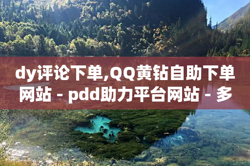 dy评论下单,QQ黄钻自助下单网站 - pdd助力平台网站 - 多多带货助手免费版