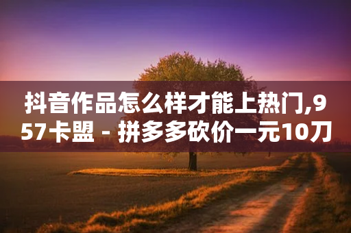 抖音作品怎么样才能上热门,957卡盟 - 拼多多砍价一元10刀 - 拼多多优惠卷是补贴吧