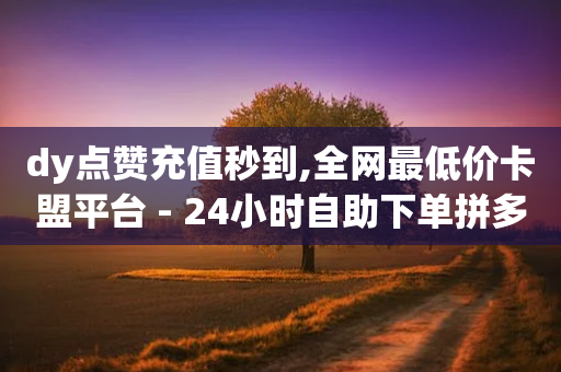 dy点赞充值秒到,全网最低价卡盟平台 - 24小时自助下单拼多多 - 亲多都助力软件