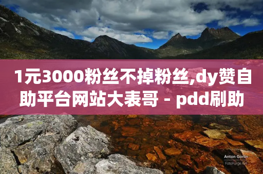 1元3000粉丝不掉粉丝,dy赞自助平台网站大表哥 - pdd刷助力软件 - 拼多多十万评价怎么做出来的-第1张图片-靖非智能科技传媒