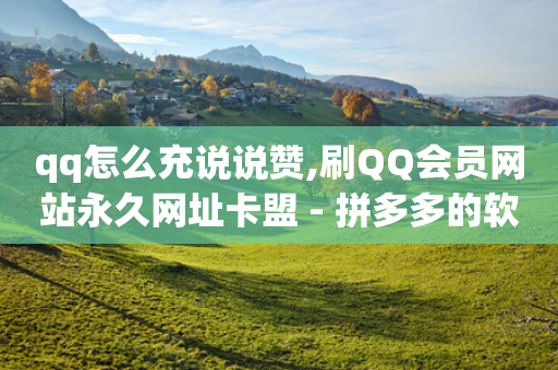 qq怎么充说说赞,刷QQ会员网站永久网址卡盟 - 拼多多的软件 - 拼多多店铺访客量助手