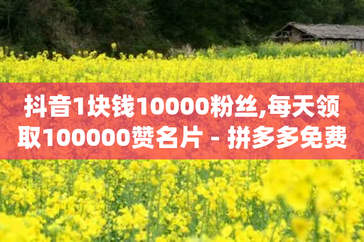 抖音1块钱10000粉丝,每天领取100000赞名片 - 拼多多免费助力工具app - 拼多多互助微信群二维码最新