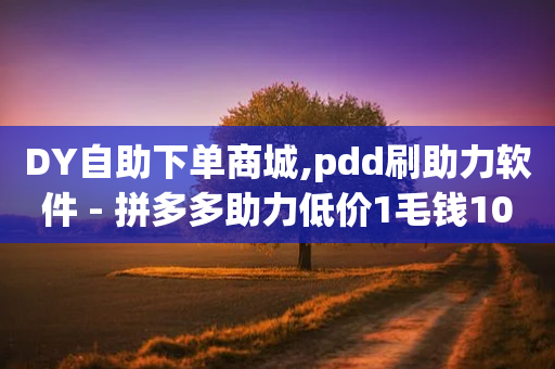 DY自助下单商城,pdd刷助力软件 - 拼多多助力低价1毛钱10个 - 拼多多多账号拍单软件