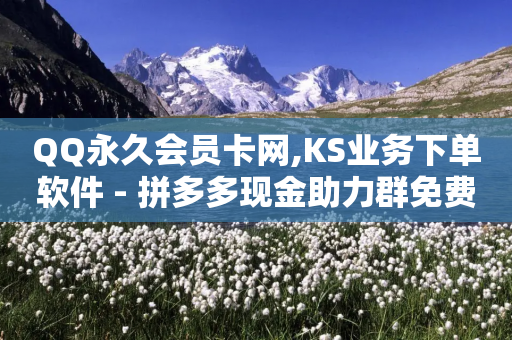 QQ永久会员卡网,KS业务下单软件 - 拼多多现金助力群免费群 - 拼多多免费自动刷刀砍价软件