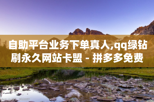 自助平台业务下单真人,qq绿钻刷永久网站卡盟 - 拼多多免费助力工具app - pdd帮助力