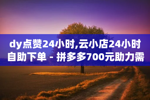 dy点赞24小时,云小店24小时自助下单 - 拼多多700元助力需要多少人 - 这理换点邀请新朋友给多少钱