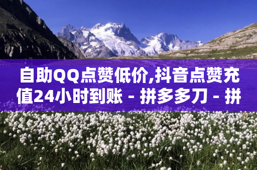 自助QQ点赞低价,抖音点赞充值24小时到账 - 拼多多刀 - 拼多多店铺怎么推广商品