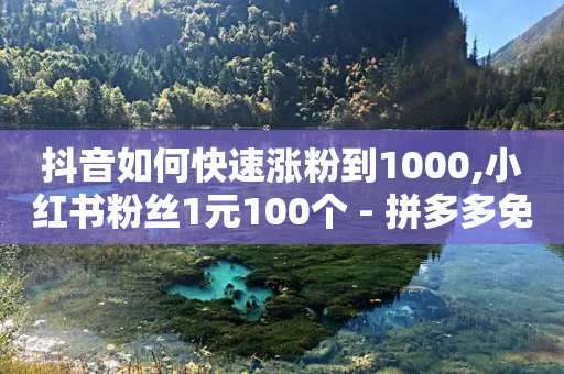 抖音如何快速涨粉到1000,小红书粉丝1元100个 - 拼多多免费自动刷刀软件 - 怎么判断代运营是真是假