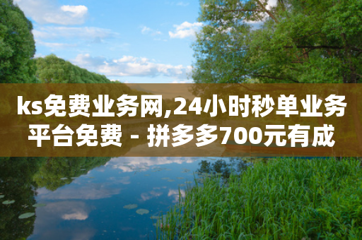 ks免费业务网,24小时秒单业务平台免费 - 拼多多700元有成功的吗 - 博主拼多多助力