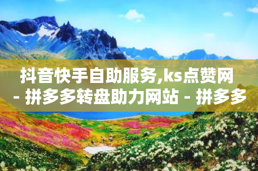 抖音快手自助服务,ks点赞网 - 拼多多转盘助力网站 - 拼多多一键助力神器免费版-第1张图片-靖非智能科技传媒