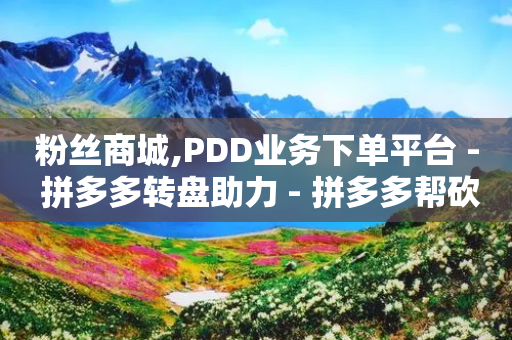 粉丝商城,PDD业务下单平台 - 拼多多转盘助力 - 拼多多帮砍价平台软件