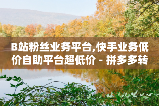 B站粉丝业务平台,快手业务低价自助平台超低价 - 拼多多转盘助力网站 - 拼多多怎么买助力提现-第1张图片-靖非智能科技传媒