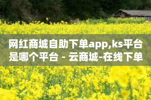 网红商城自助下单app,ks平台是哪个平台 - 云商城-在线下单 - 淘宝恶意下单骗赔付怎么办