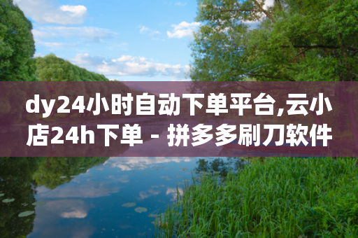 dy24小时自动下单平台,云小店24h下单 - 拼多多刷刀软件免费版下载 - 拼多多差20积分下面还有什么