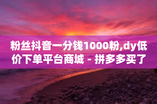 粉丝抖音一分钱1000粉,dy低价下单平台商城 - 拼多多买了200刀全被吞了 - Temu需要外网吗