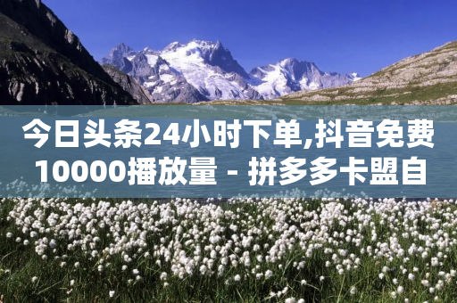 今日头条24小时下单,抖音免费10000播放量 - 拼多多卡盟自助下单服务 - 砍价小程序