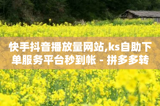 快手抖音播放量网站,ks自助下单服务平台秒到帐 - 拼多多转盘刷次数网站免费 - 拼多多助力警察提醒