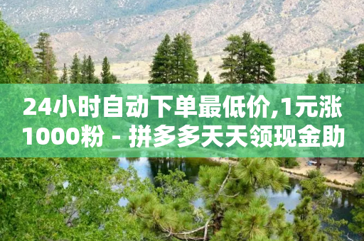 24小时自动下单最低价,1元涨1000粉 - 拼多多天天领现金助力 - 拼多多助力官方网站