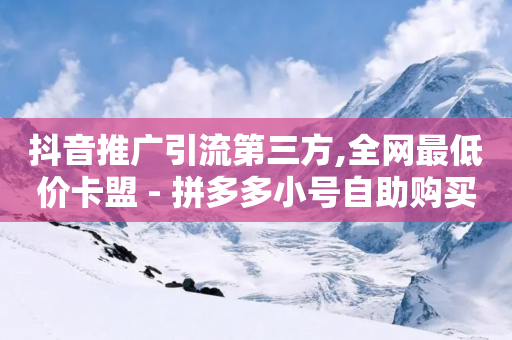 抖音推广引流第三方,全网最低价卡盟 - 拼多多小号自助购买平台 - 拼多多助力分几步