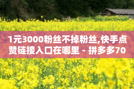 1元3000粉丝不掉粉丝,快手点赞链接入口在哪里 - 拼多多700元助力需要多少人 - 拼夕夕平台电话