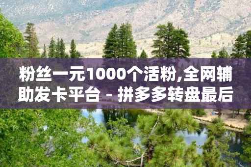 粉丝一元1000个活粉,全网辅助发卡平台 - 拼多多转盘最后0.01解决办法 - 喇蛄豆腐是名菜吗