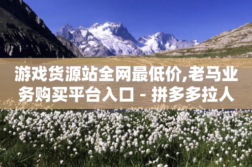 游戏货源站全网最低价,老马业务购买平台入口 - 拼多多拉人助力群 - 拼多多提现到元宝后面还有啥