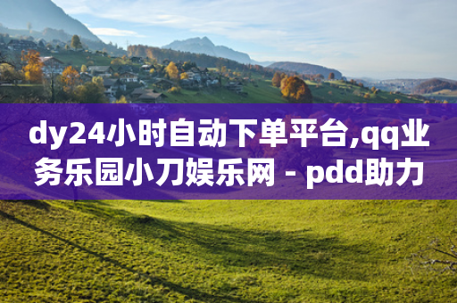 dy24小时自动下单平台,qq业务乐园小刀娱乐网 - pdd助力购买 - 拼多多怎么刷助力