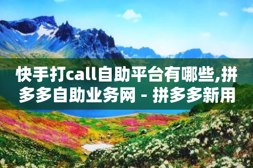 快手打call自助平台有哪些,拼多多自助业务网 - 拼多多新用户助力神器 - 拼多多的砍一刀在线帮同助