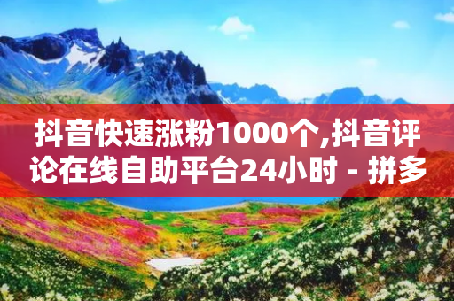 抖音快速涨粉1000个,抖音评论在线自助平台24小时 - 拼多多现金助力群免费群 - 拼多多助力刷人网址