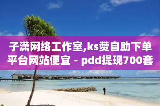 子潇网络工作室,ks赞自助下单平台网站便宜 - pdd提现700套路最后一步 - 拼多多现金大转盘的复活机制