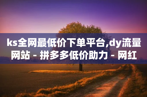 ks全网最低价下单平台,dy流量网站 - 拼多多低价助力 - 网红24小时下单助手