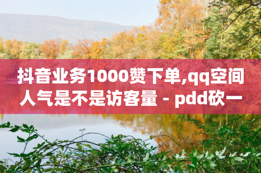 抖音业务1000赞下单,qq空间人气是不是访客量 - pdd砍一刀助力助力平台官网 - 拼多多现金大转盘真人团队