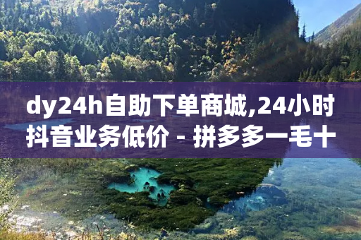 dy24h自助下单商城,24小时抖音业务低价 - 拼多多一毛十刀平台 - pdd自动买单脚本