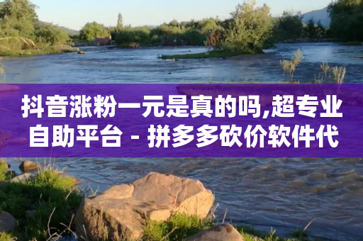 抖音涨粉一元是真的吗,超专业自助平台 - 拼多多砍价软件代砍平台 - 拼多多互助微信群知乎