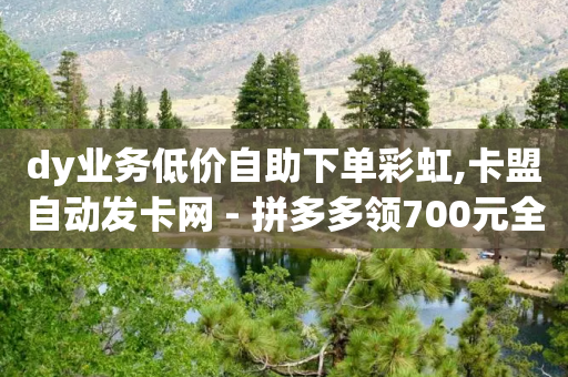 dy业务低价自助下单彩虹,卡盟自动发卡网 - 拼多多领700元全过程 - 拼多多产品和市场细分